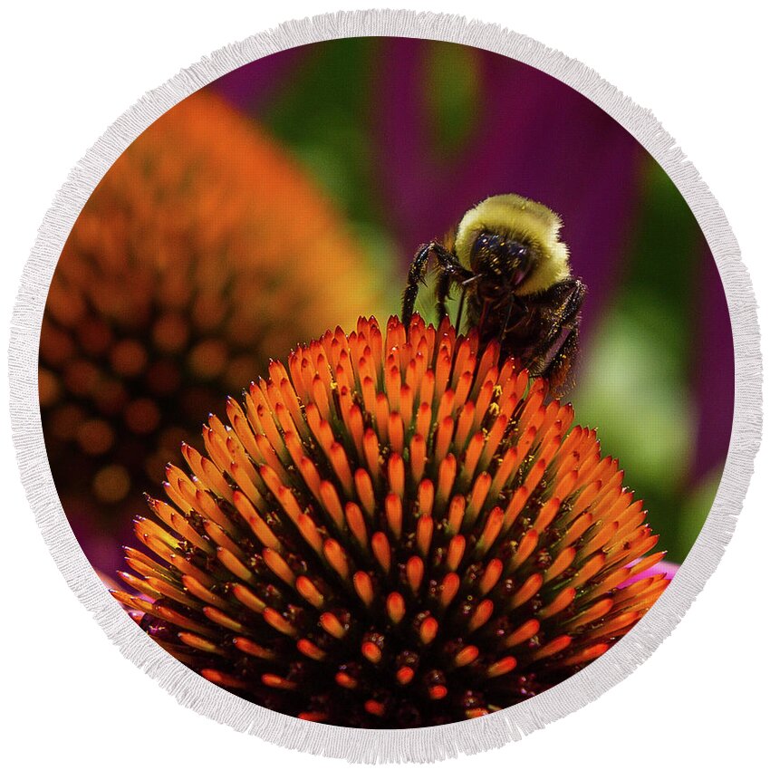 Bee Round Beach Towel featuring the photograph Busy as a ... Just busy by Darryl Hendricks