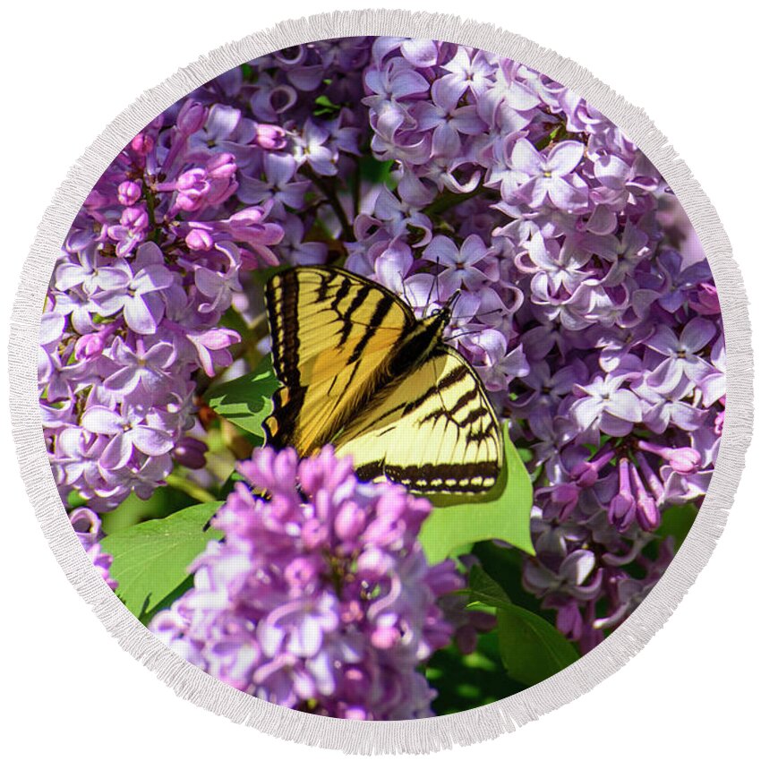 Butterfly Round Beach Towel featuring the photograph Butterfly and Lilacs by Alana Ranney