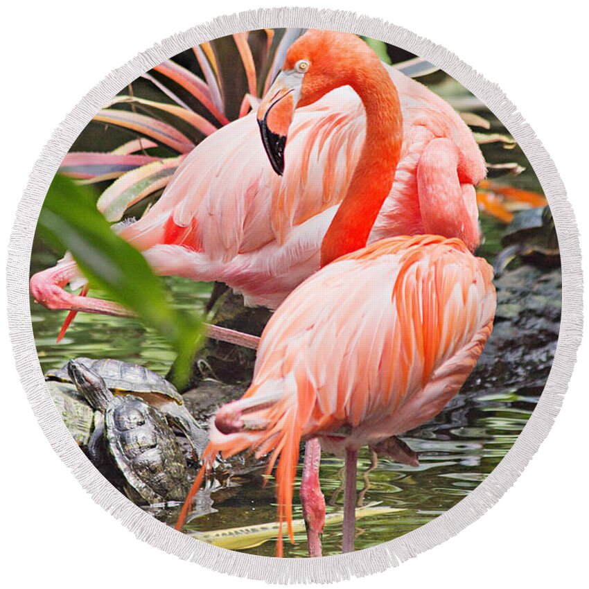 Flamingo Round Beach Towel featuring the photograph Butterfly Garden Wildlife by Peter J Sucy