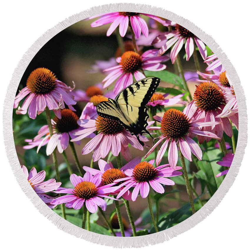 Butterfly Round Beach Towel featuring the photograph Butterfly on Coneflowers by Trina Ansel
