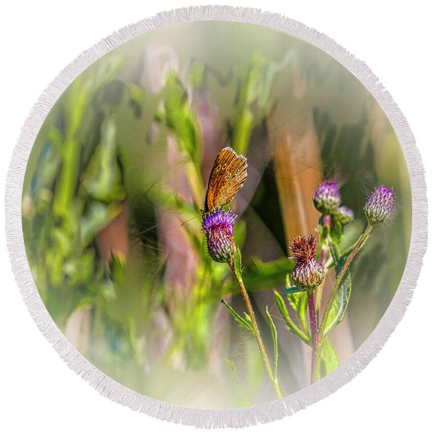 Butterfly On Thistle Bloom Round Beach Towel featuring the photograph Butterfly on thistle bloom @h7 by Leif Sohlman