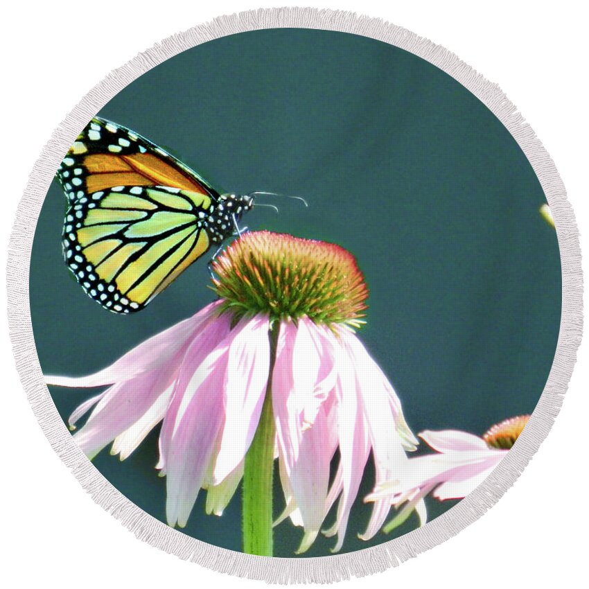 Butterfly Round Beach Towel featuring the photograph Butterfly by Raymond Earley