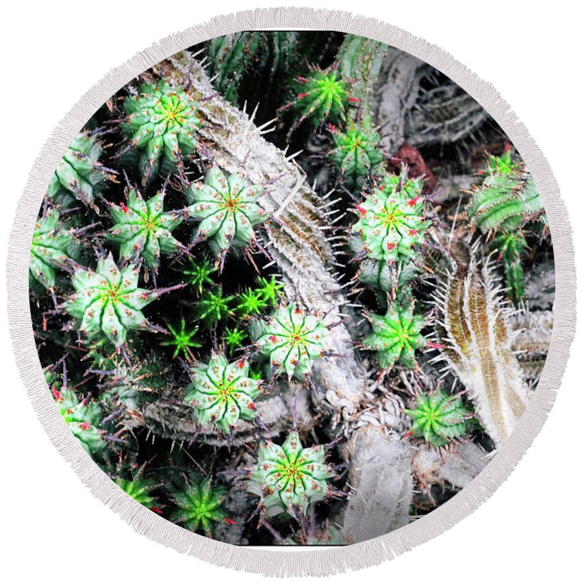 Cactus Round Beach Towel featuring the photograph Cactus City by Peggy Dietz