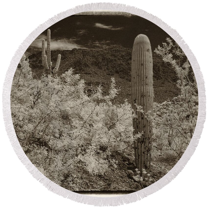 Infrared Round Beach Towel featuring the photograph Cactus in a different light by Michael McGowan