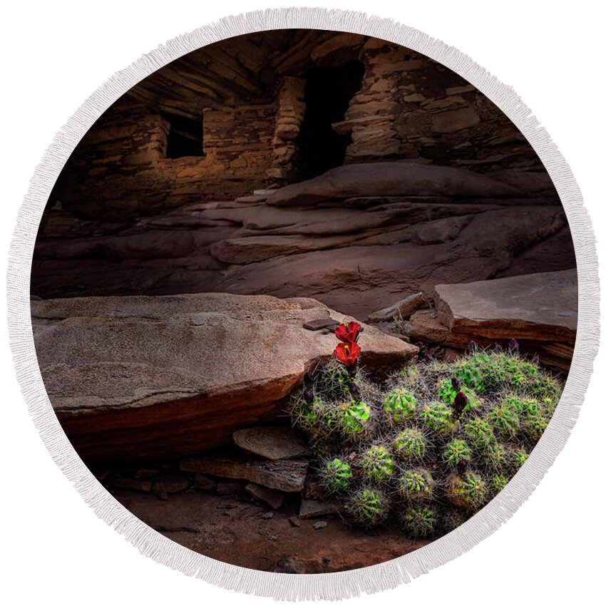 Bears Ears National Round Beach Towel featuring the photograph Cactus on Fire by Michael Ash