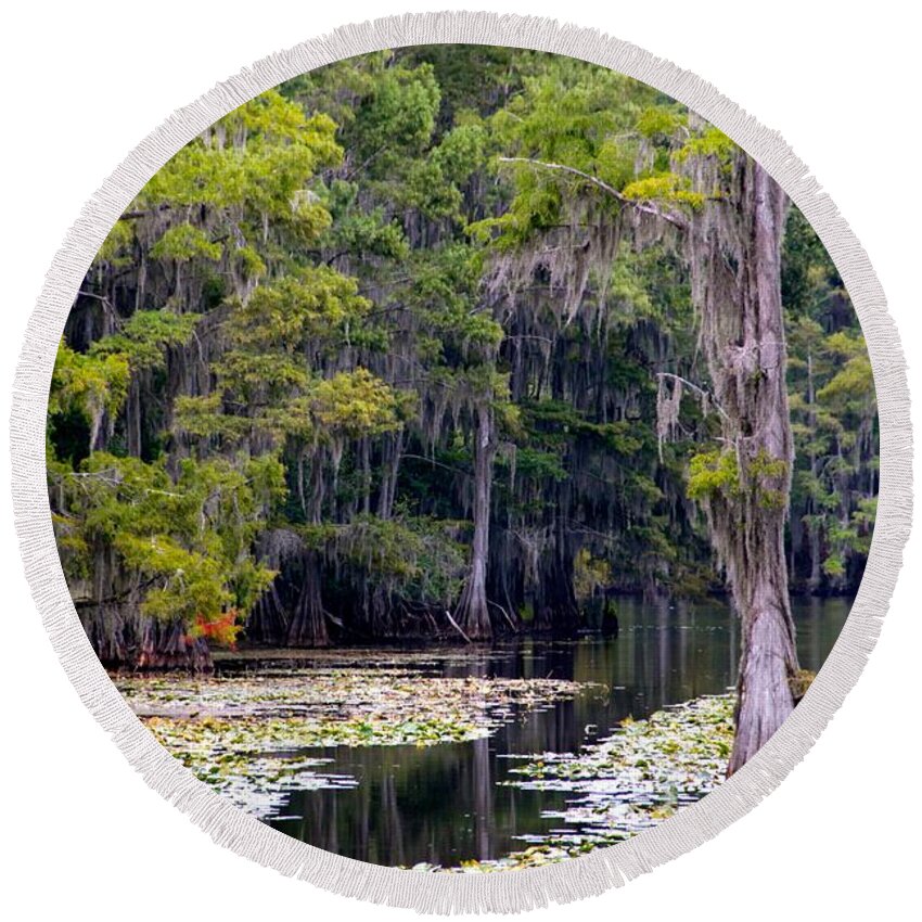 Cypress Trees Round Beach Towel featuring the photograph Caddo Lake by Linda James