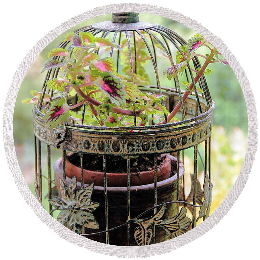 Vintage Bird Cage Round Beach Towel featuring the photograph Caged Coleus by Allen Nice-Webb