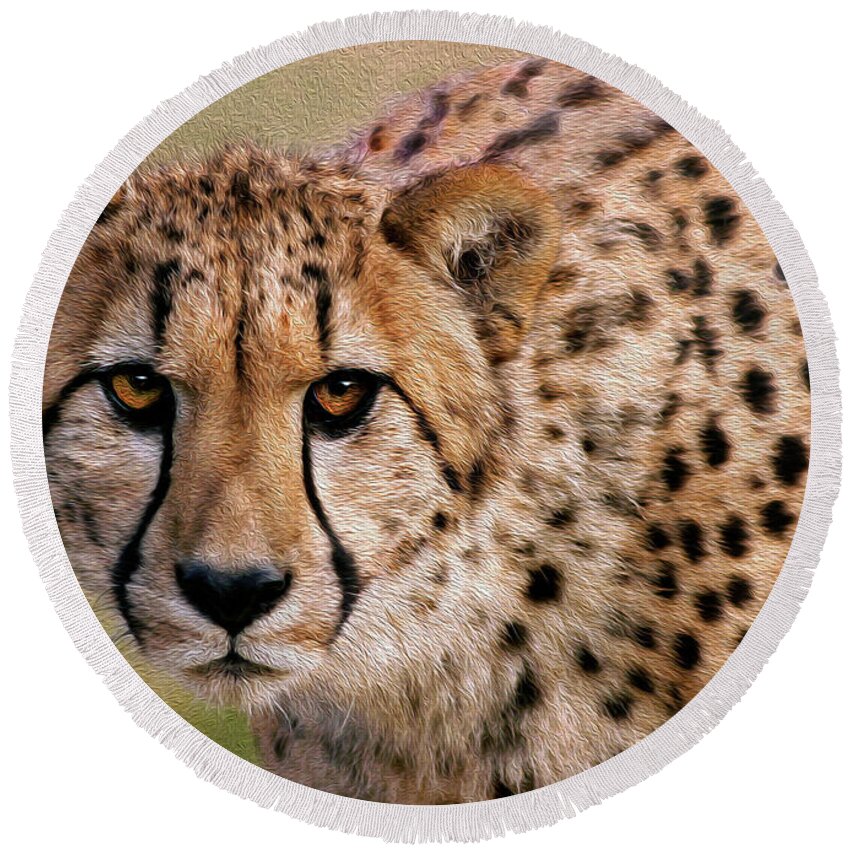 Cheetah Round Beach Towel featuring the photograph Calculated Look by Art Cole