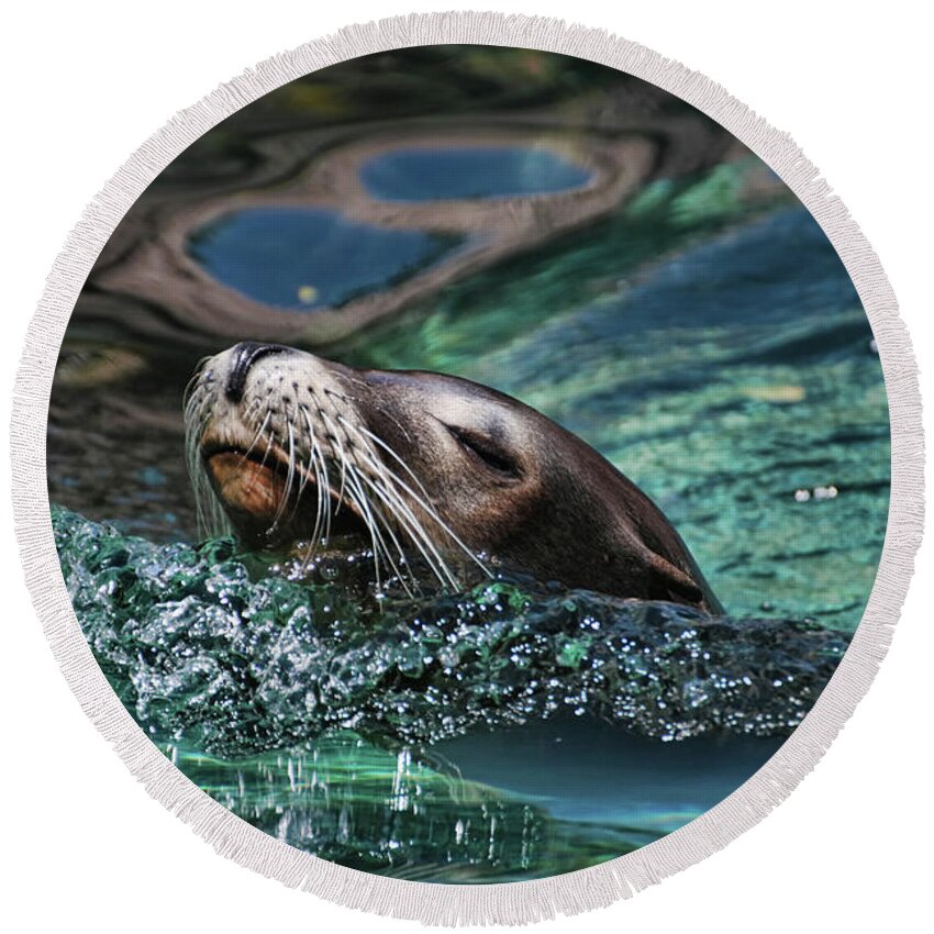 Seal Round Beach Towel featuring the photograph California Dreaming by Allen Beatty