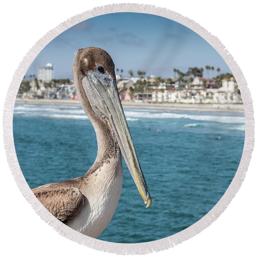 Animal Round Beach Towel featuring the photograph California Pelican by John Wadleigh