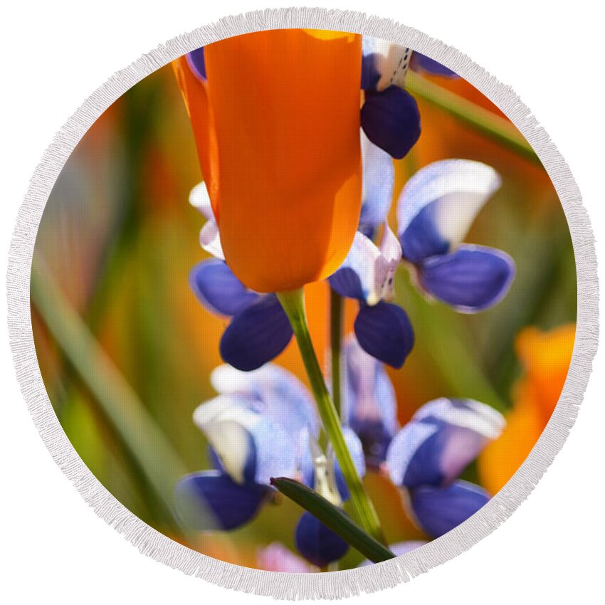 California Round Beach Towel featuring the photograph California Poppies and Lupine Portrait by Kyle Hanson