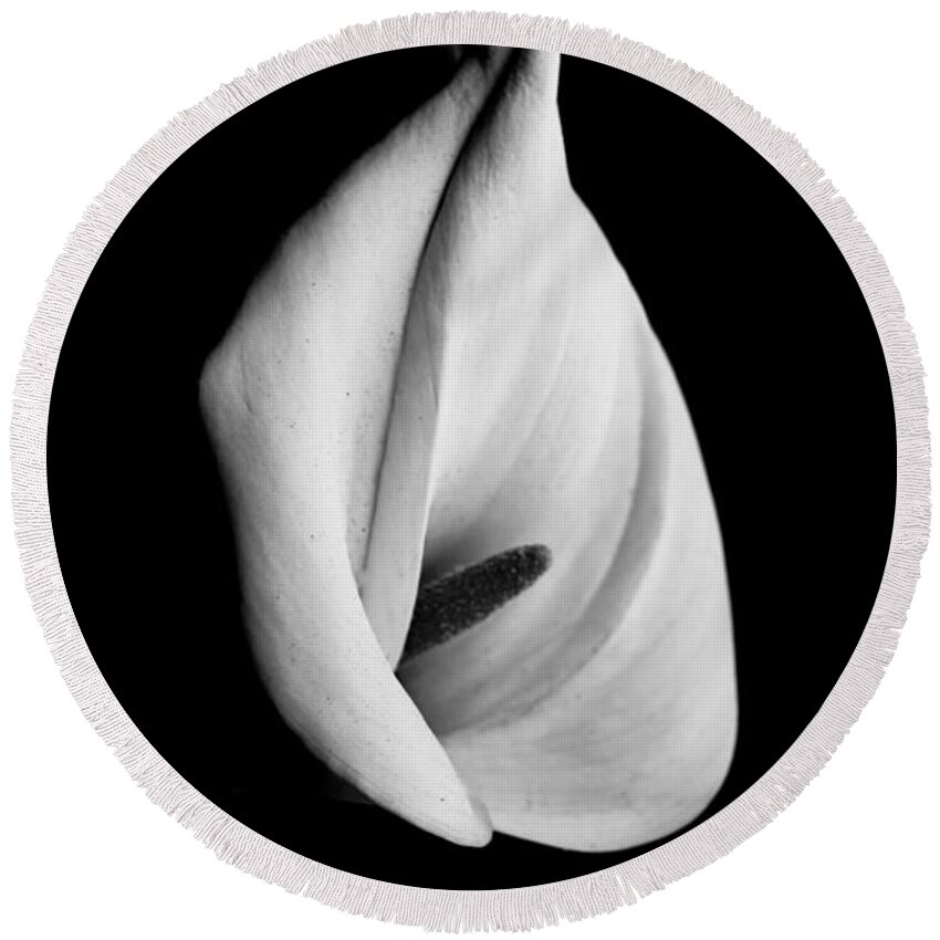 Calla Round Beach Towel featuring the photograph Calla Challenge in Black and White by Venetia Featherstone-Witty