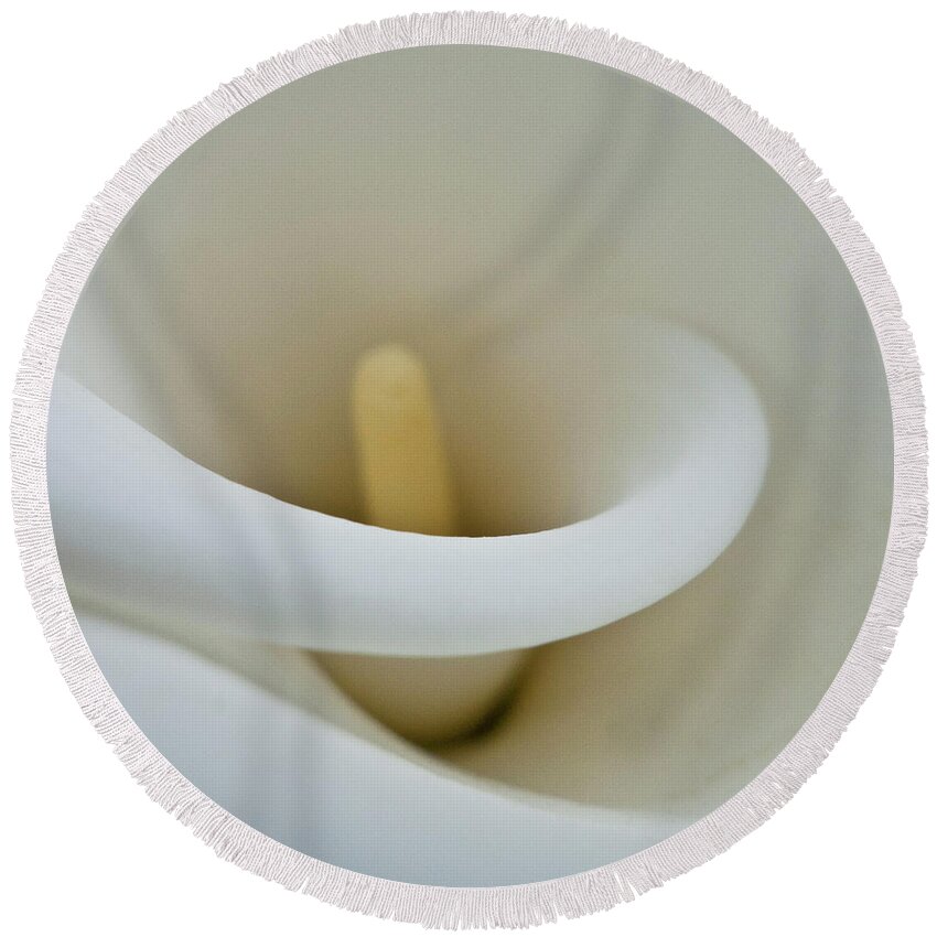 Calla Round Beach Towel featuring the photograph Calla Details 12 by Heiko Koehrer-Wagner