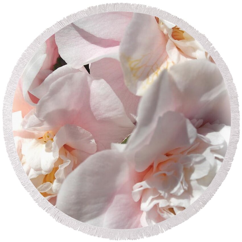 Camellia Round Beach Towel featuring the photograph Camellias Softly by Michele Myers