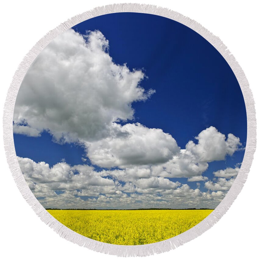 Canola Round Beach Towel featuring the photograph Canola field by Elena Elisseeva