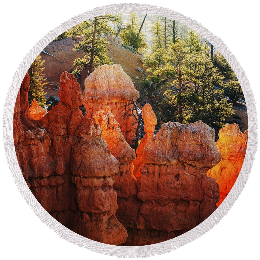 Hoodoos Round Beach Towel featuring the photograph Canyon Glow in Bryce Canyon National Park Utah by Vishwanath Bhat