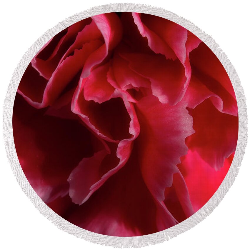 Carnation Round Beach Towel featuring the photograph Carnation Series 4 by Mike Eingle