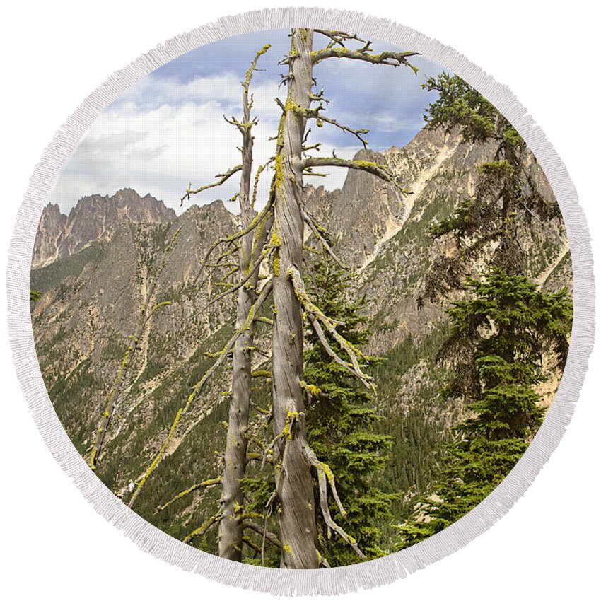 Mountains Round Beach Towel featuring the photograph Cascades Tree by Peter J Sucy