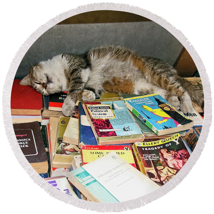 Cat Asleep On Used Book Display Round Beach Towel featuring the photograph Cat on Books by Sally Weigand