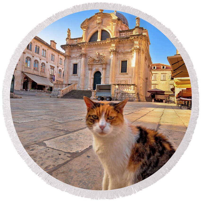 Dubrovnik Round Beach Towel featuring the photograph Cat posing on Dubrovnik street and historic architecture view by Brch Photography