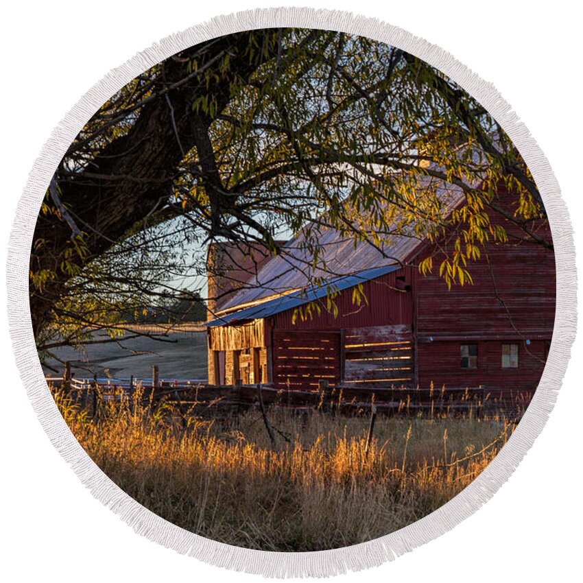 Old Barn Round Beach Towel featuring the photograph Catching the Rays by Alana Thrower