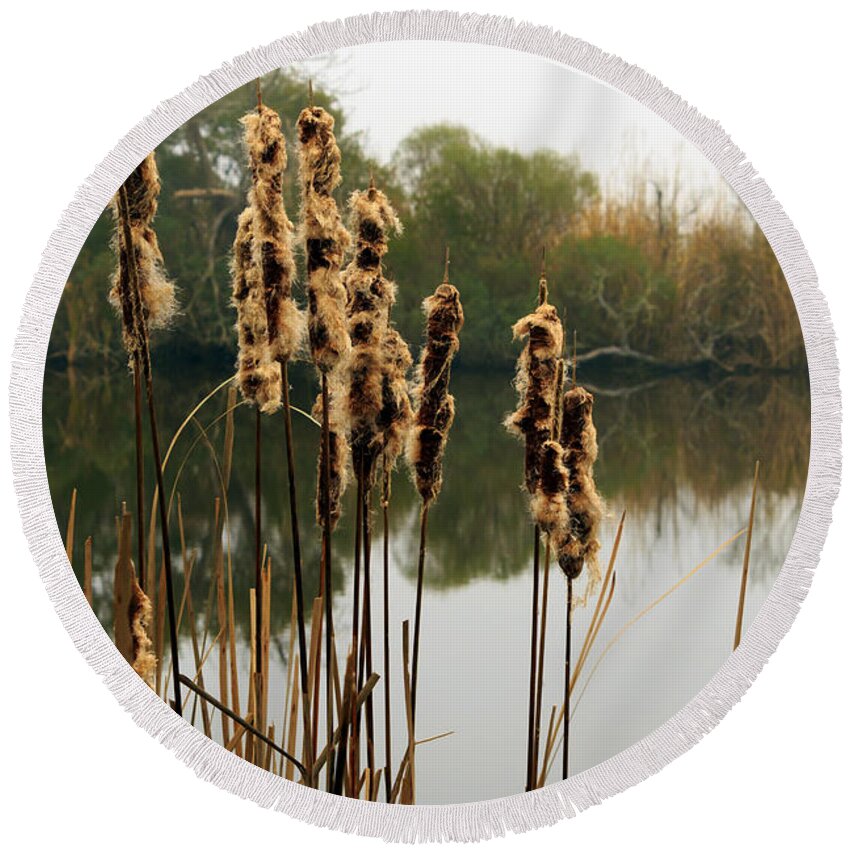Cattails Round Beach Towel featuring the photograph Cattails by Travis Rogers