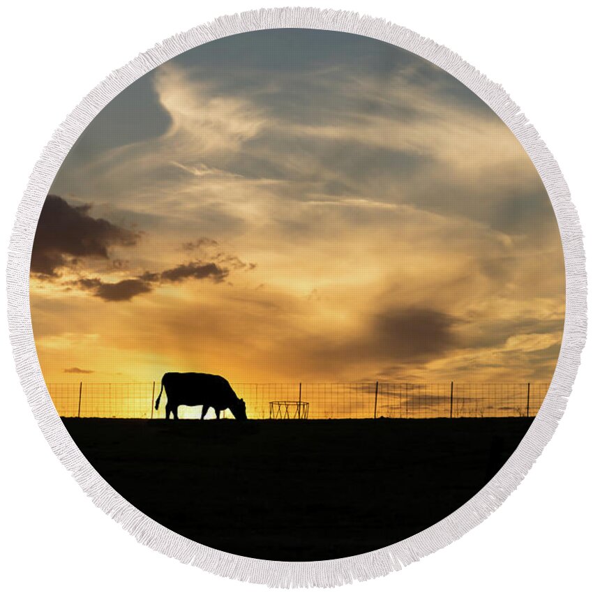 Cow Round Beach Towel featuring the photograph Cattle Sunset Silhouette by Jennifer White