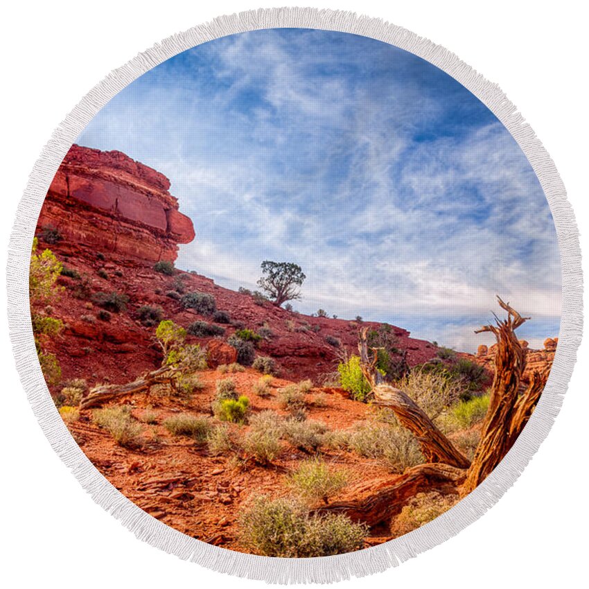 Cave Round Beach Towel featuring the photograph Cedars and Sandstone by Rikk Flohr
