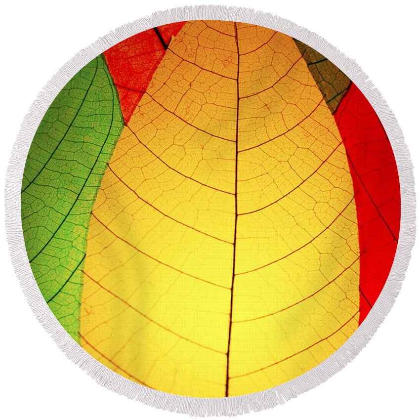 Celebrate Round Beach Towel featuring the photograph Celebrate Fall by Marilyn Hunt