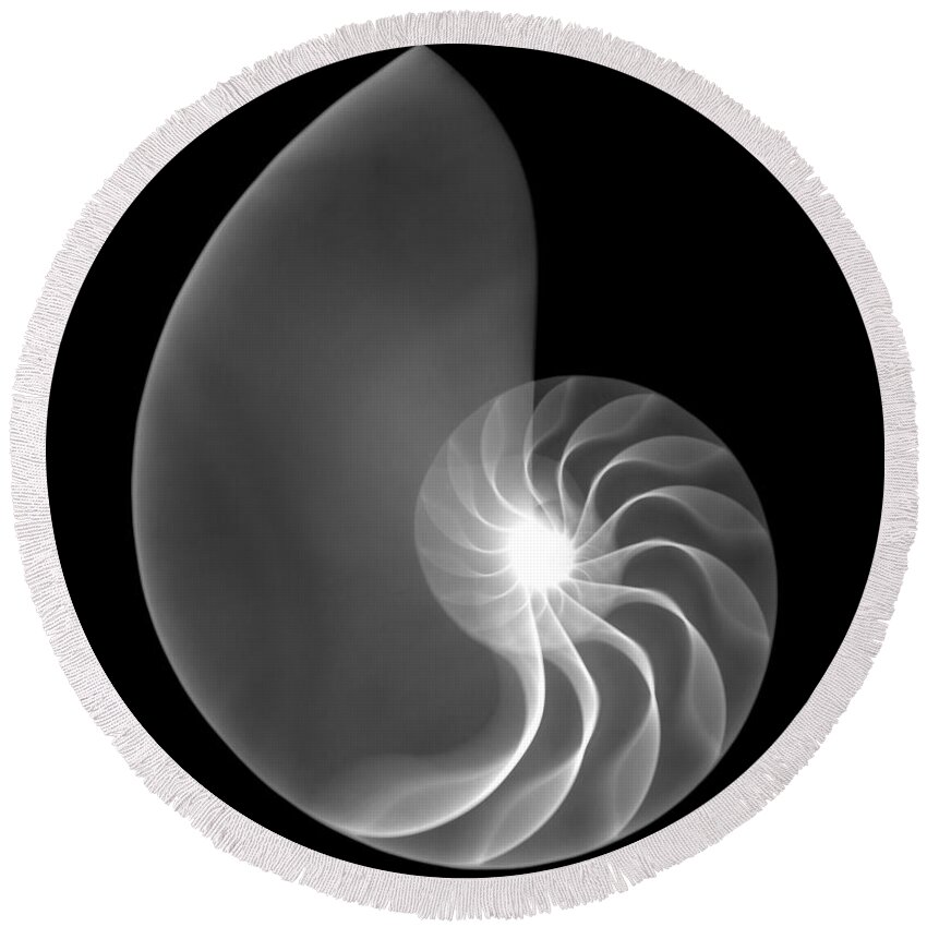 Xray Round Beach Towel featuring the photograph Chambered Nautilus Shell by Ted Kinsman