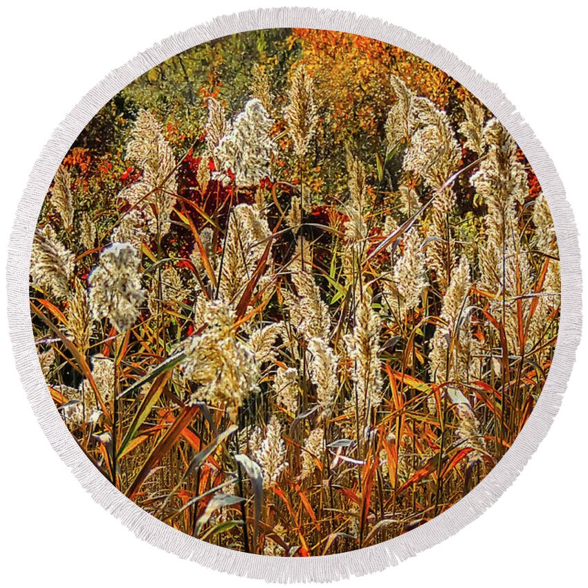 Nature Round Beach Towel featuring the photograph Changing Season by Robert Mitchell