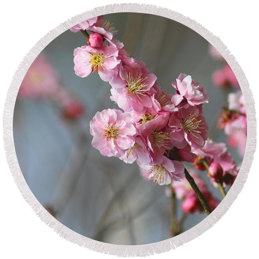 Cherry Blossoms Round Beach Towel featuring the photograph Cheerful Cherry Blossoms by Living Color Photography Lorraine Lynch