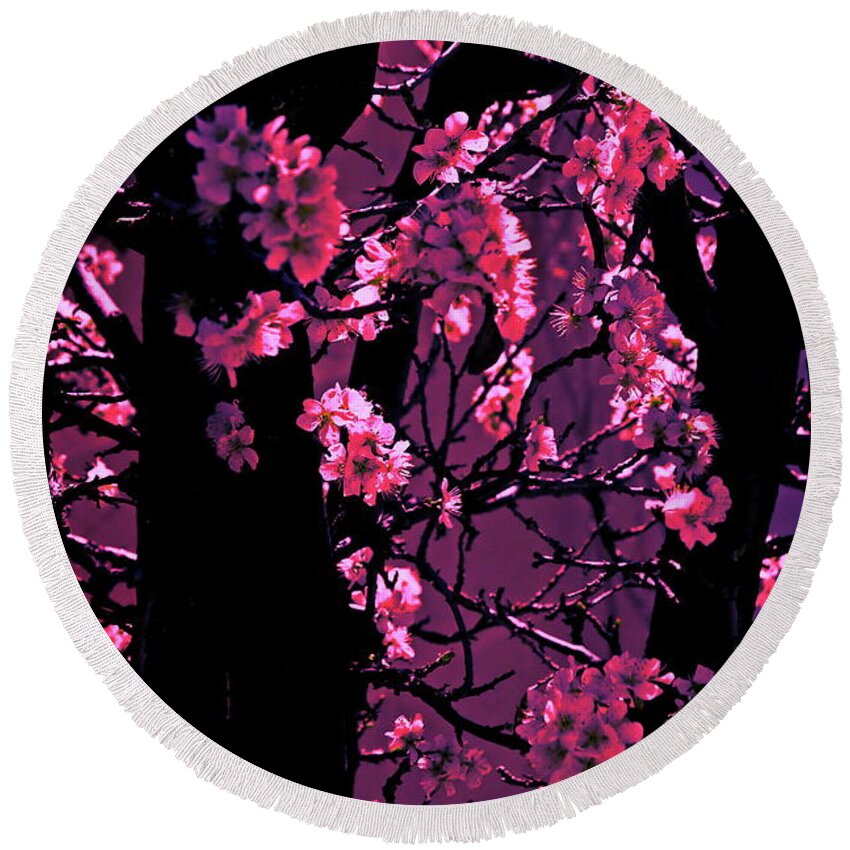 Digital Altered Photo Round Beach Towel featuring the photograph Cherry Bloom by Tim Richards