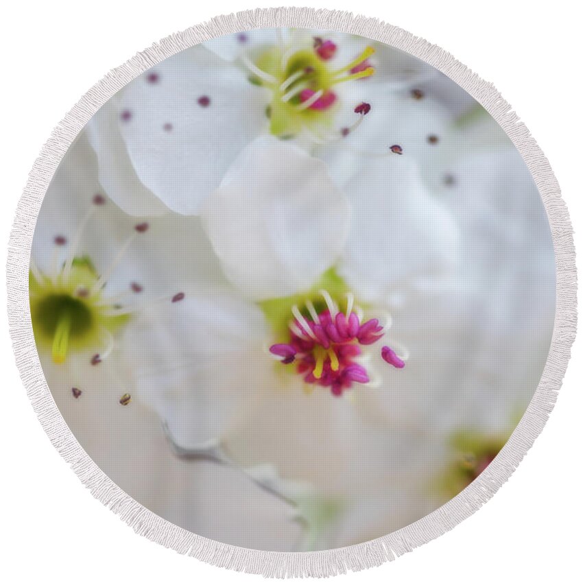 Flowers Round Beach Towel featuring the photograph Cherry Blooms by Darren White