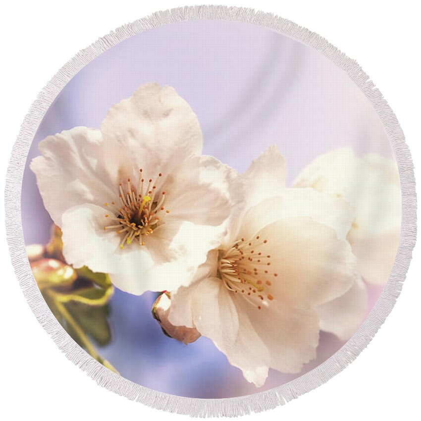 Cherry Round Beach Towel featuring the photograph Cherry blossom by Jane Rix