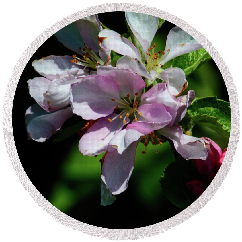 Flower Round Beach Towel featuring the photograph Cherry Blossom by Tikvah's Hope