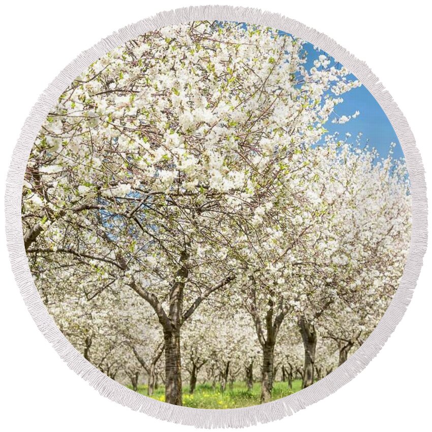 Door County Round Beach Towel featuring the photograph Cherry Blossom Time by Patti Raine