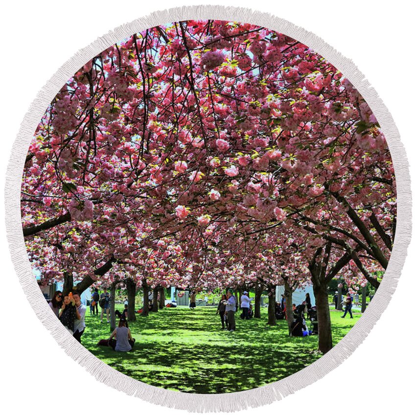 Cherry Round Beach Towel featuring the photograph Cherry Blossom Trees of B B G # 7 by Allen Beatty