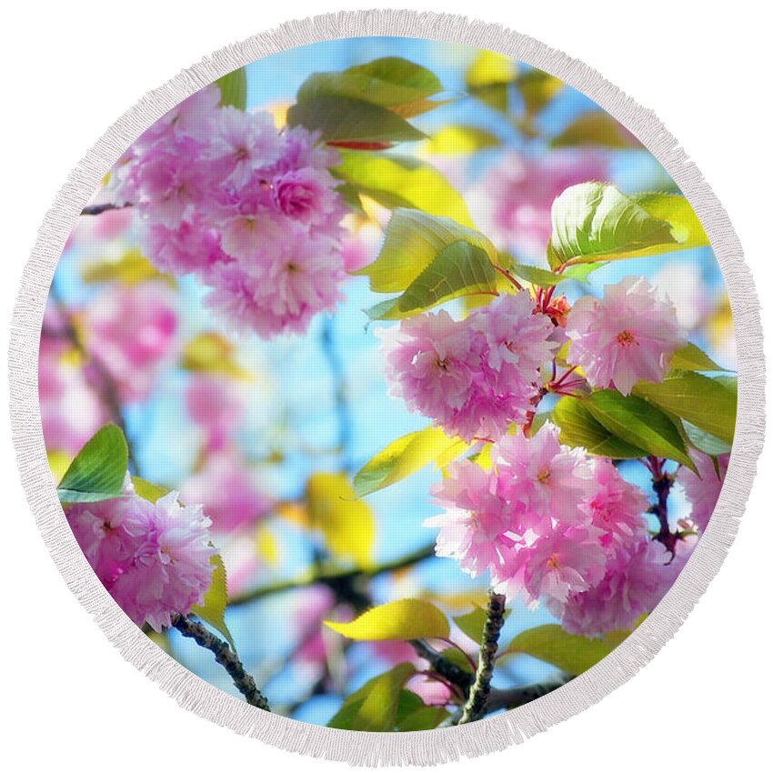 Nature Round Beach Towel featuring the photograph Charming Cherry Blossoms by Emerita Wheeling