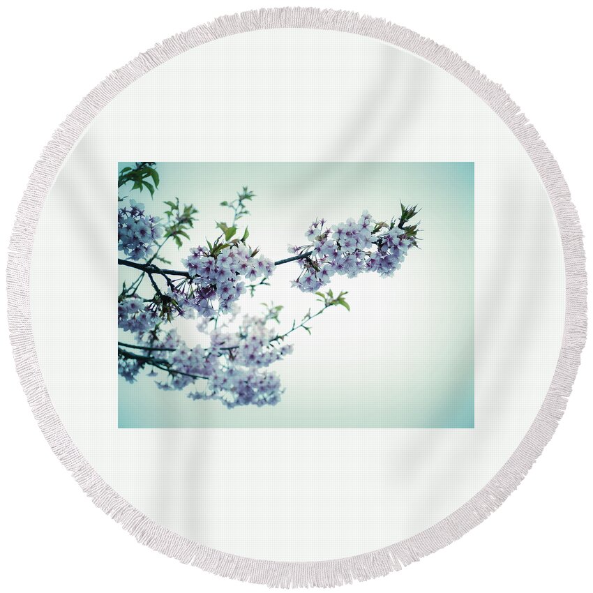 Cherry Blossoms Round Beach Towel featuring the photograph Cherry Blossoms by Yuka Kato