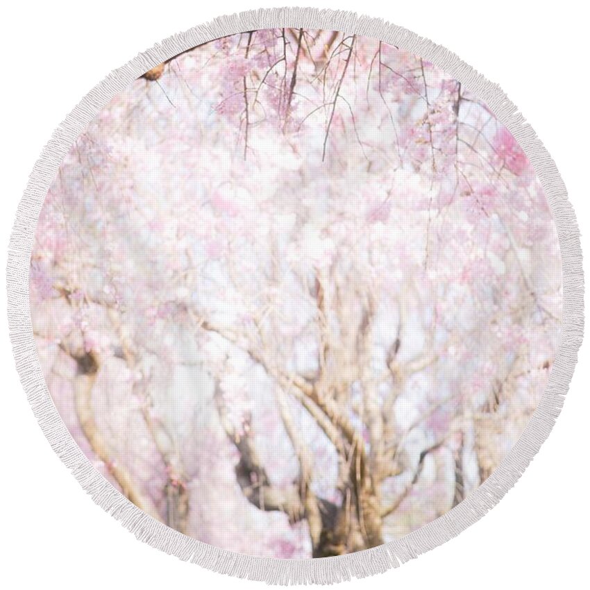 Cherryblossoms Round Beach Towel featuring the photograph Cherry blossoms#3 by Yasuhiro Fukui