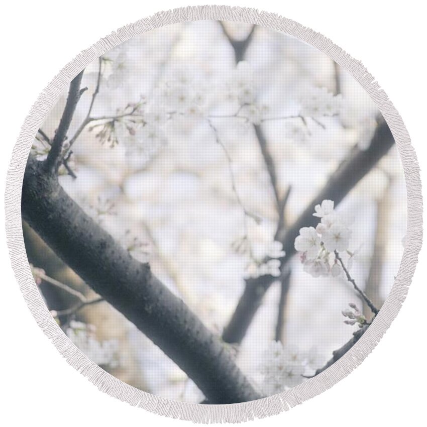 Cherryblossoms Round Beach Towel featuring the photograph Cherry blossoms#4 by Yasuhiro Fukui