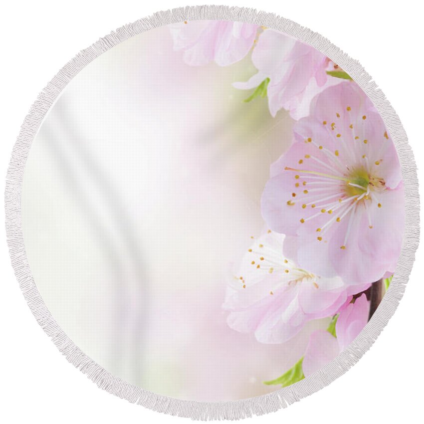 Background Round Beach Towel featuring the photograph Cherry Flowers in Garden by Anastasy Yarmolovich