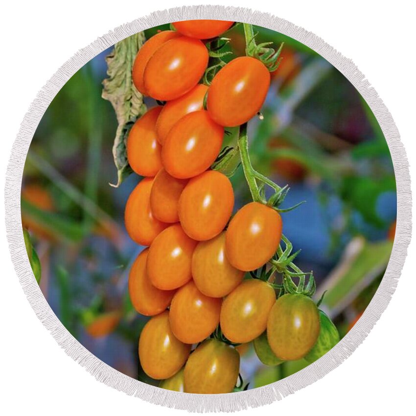 Tomatoes Round Beach Towel featuring the photograph Cherry Tomatoes by Linda Unger