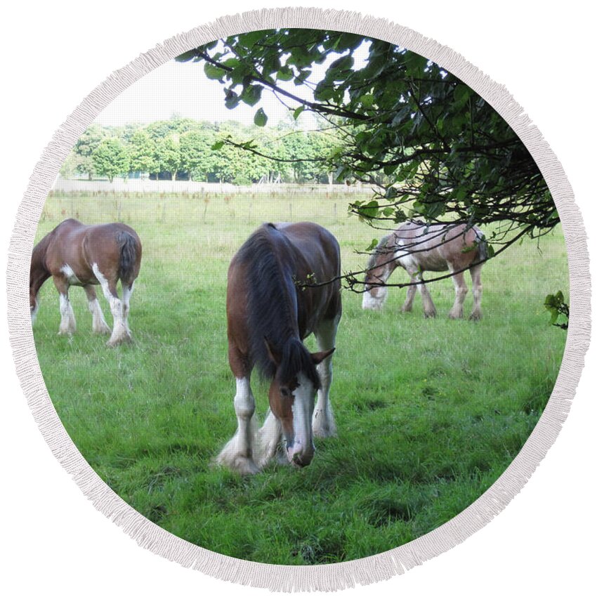 Horse Round Beach Towel featuring the photograph Chestnut Clydesdales by Brandy Woods