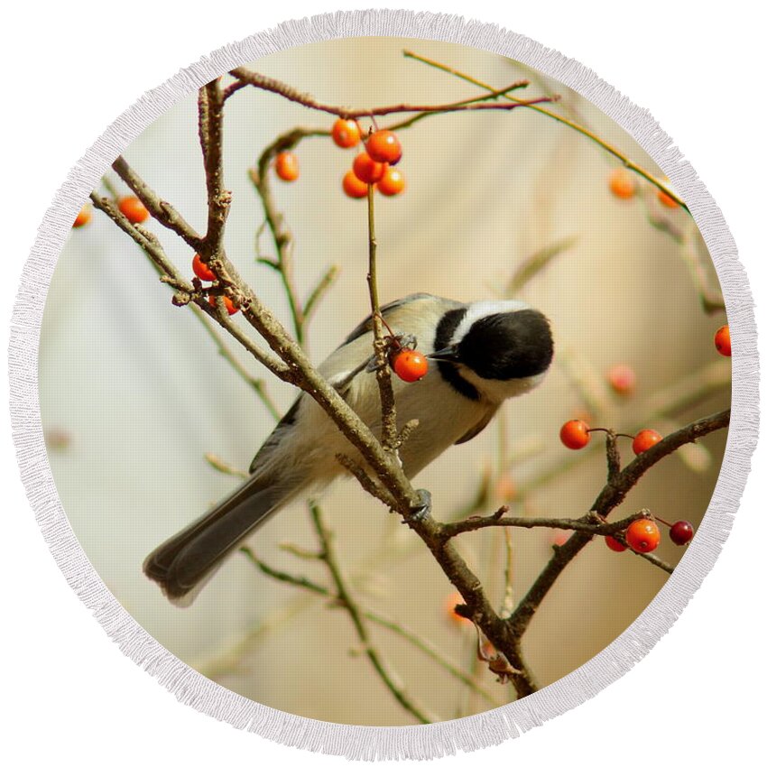 Animal Round Beach Towel featuring the photograph Chickadee 1 Of 2 by Robert Frederick
