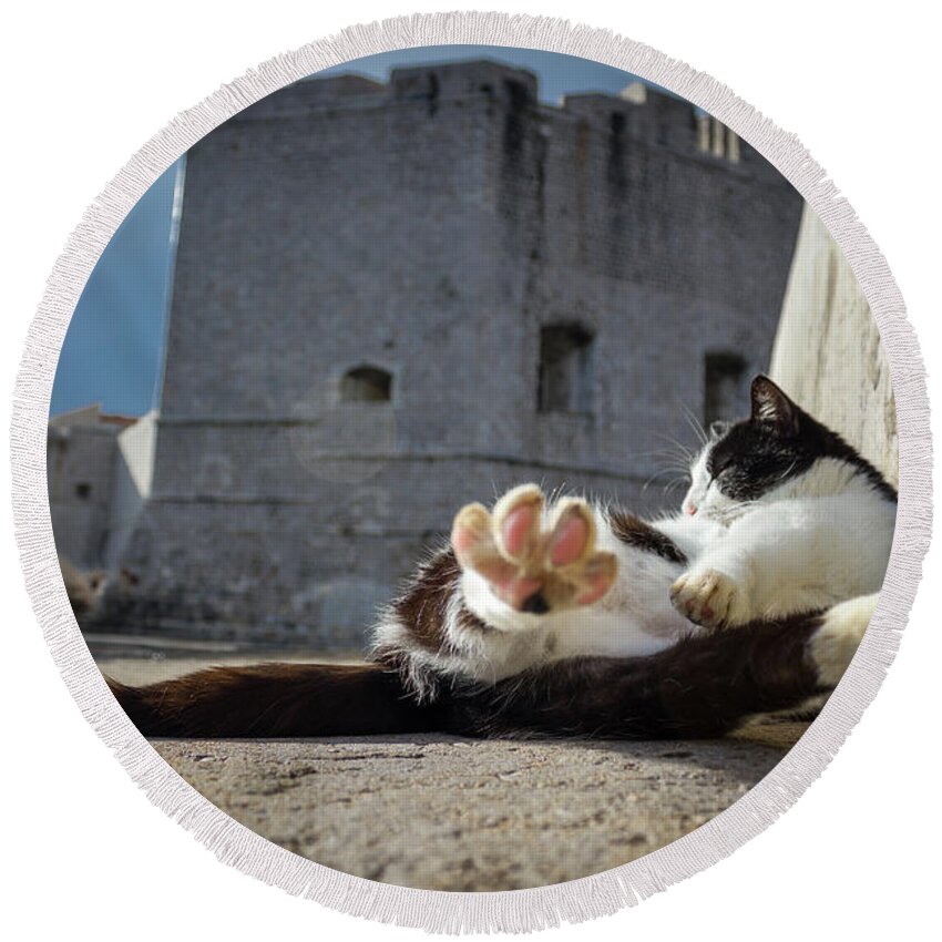 Cat Round Beach Towel featuring the photograph Chill Kitty of Dubrovnik by Becqi Sherman