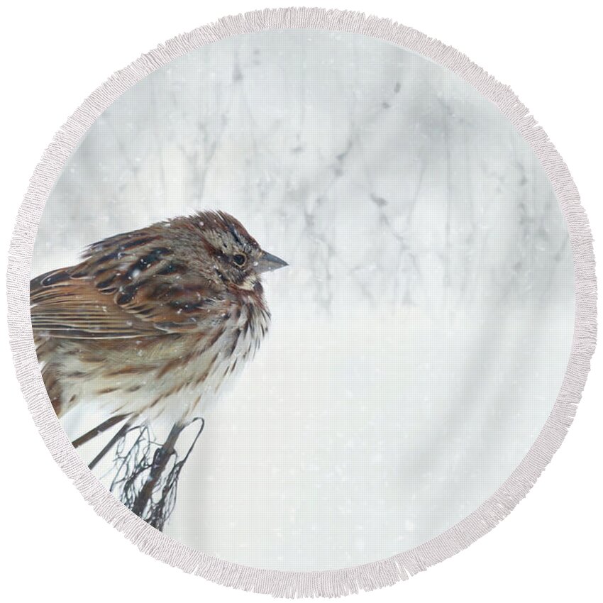 Sparrow Round Beach Towel featuring the mixed media Chilly Song Sparrow by Lori Deiter