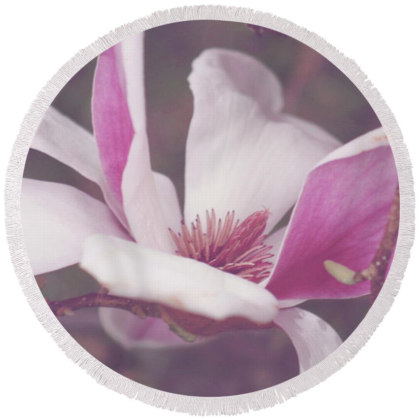 Magnolia Round Beach Towel featuring the photograph Chinese Magnolia Bloom by Toni Hopper