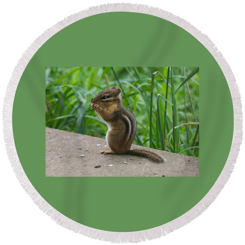Chipmunk Round Beach Towel featuring the photograph Chipmunk by Holden The Moment